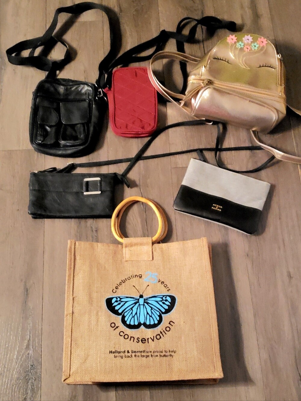 6 Accessories wallets crossbody bag, backpack, tote 2 are leather.